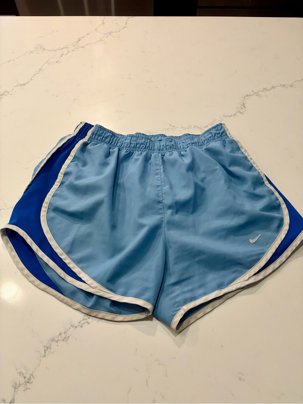 Nike Light Blue and Royal Blue Athletic Shorts with White Trim - Women’s Small